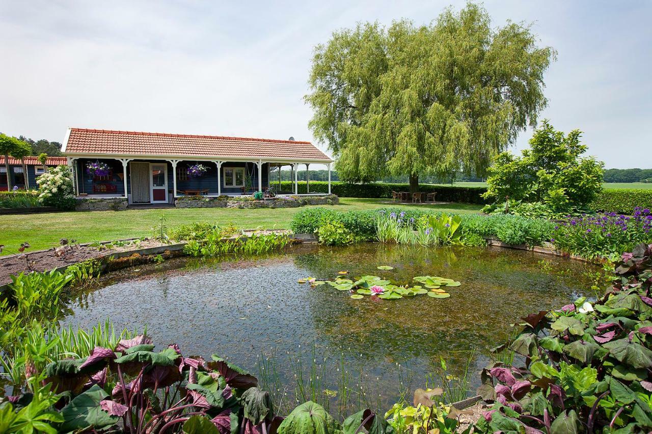 Inge'S Cottage Bergen op Zoom Εξωτερικό φωτογραφία