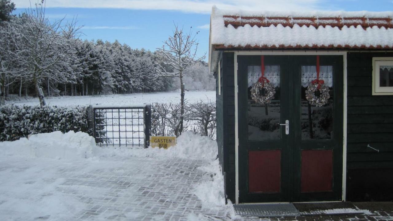 Inge'S Cottage Bergen op Zoom Εξωτερικό φωτογραφία